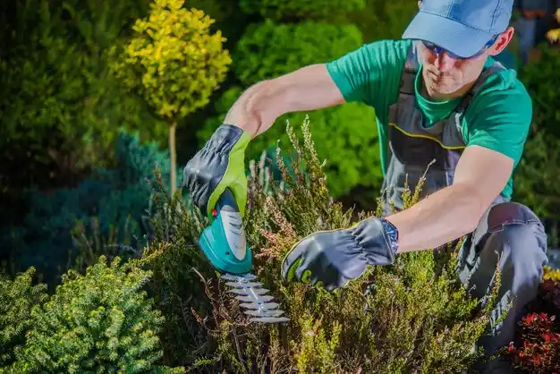 landscaping services Cadillac